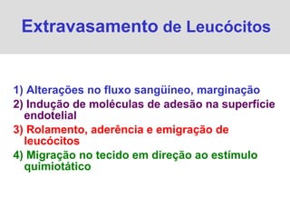 1) Alterações no fluxo sangüíneo, marginação 2) Indução de moléculas de adesão na superfície endotelial 3) Rolamento, aderência e emigração de leucócitos 4) Migração no tecido em direção ao estímulo quimiotático Extravasamento  de Leucócitos 