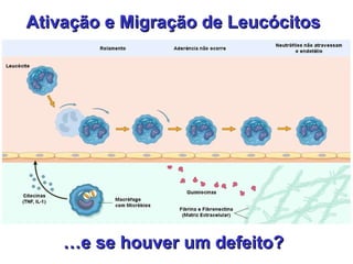 Ativação e Migração de Leucócitos  … e se houver um defeito?  