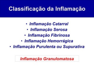 Classificação da Inflamação <ul><li>Inflamação Catarral </li></ul><ul><li>Inflamação Serosa </li></ul><ul><li>Inflamação F...