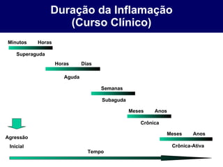 Duração da Inflamação (Curso Clínico) Superaguda Aguda Subaguda Crônica Crônica-Ativa Minutos  Horas Horas  Dias Semanas M...