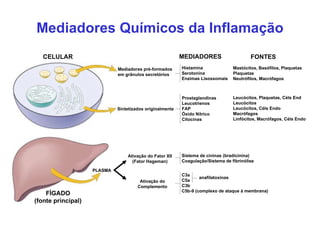 Mediadores Químicos da Inflamação Mediadores pré-formados em grânulos secretórios Sintetizados originalmente Histamina Serotonina Enzimas Lisossomais Prostaglandinas Leucotrienos FAP Óxido Nítrico Citocinas Mastócitos, Basófilos, Plaquetas Plaquetas Neutrófilos, Macrófagos Leucócitos, Plaquetas, Céls End Leucócitos Leucócitos, Céls Endo Macrófagos Linfócitos, Macrófagos, Céls Endo PLASMA Ativação do Fator XII (Fator Hageman) Ativação do Complemento Sistema de cininas (bradicinina) Coagulação/Sistema de fibrinólise C3a C5a C3b C5b-9 (complexo de ataque à membrana) anafilatoxinas CELULAR FÍGADO (fonte principal) MEDIADORES FONTES 