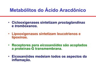 Metabólitos do Ácido Aracdônico <ul><li>Ciclooxigenases sintetizam  prostaglandinas  e  tromboxanos. </li></ul><ul><li>Lip...