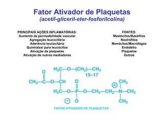 Fator Ativador de Plaquetas (acetil-gliceril-eter-fosforilcolina) PRINCIPAIS AÇÕES INFLAMATÓRIAS: Aumento da permeabilidad...