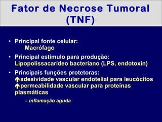 <ul><li>Principal fonte celular : Macrófago </li></ul><ul><li>Principal estímulo para produção: L ipopolissacarídeo bacter...