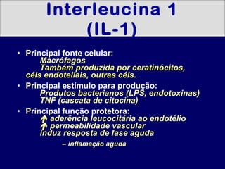 Interleucina 1 (IL-1) Principal fonte celular : Macrófagos Também produzida por ceratinócitos,  céls endoteliais, outras céls. Principal estímulo para produção : Produtos bacterianos (LPS, endotoxinas) TNF (cascata de citocina) Principal função protetora :   aderência leucocitária ao endotélio   permeabilidade vascular   induz resposta de fase aguda –  inflamação aguda 