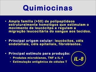Quimiocinas <ul><li>Ampla família (>50) de polipeptídeos estruturalmente homológos que estimulam o movimento de leucócitps...