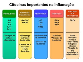 Citocinas Importantes na Inflamação Interleucinas Fatores de Crescimento Quimiocinas Interferons Citocinas Pró-Inflamatóri...