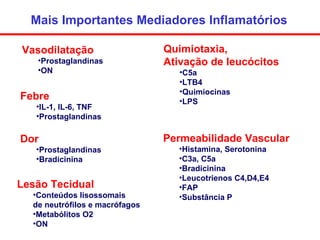 Mais Importantes Mediadores Inflamatórios <ul><li>Lesão Tecidual </li></ul><ul><ul><li>Conteúdos lisossomais de neutrófilo...