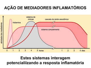AÇÃO DE MEDIADORES INFLAMATÓRIOS Estes sistemas interagem potencialiizando a resposta inflamatória 