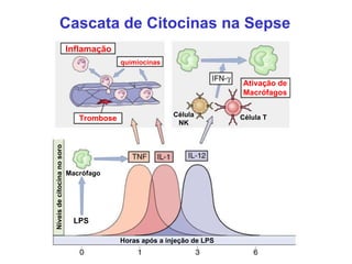 Cascata de Citocinas na Sepse Inflamação quimiocinas Trombose Ativação de Macrófagos Macrófago LPS Horas após a injeção de...