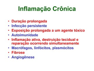 Inflamação Crônica Duração prolongada Infecção persistente Exposição prolongada a um agente tóxico Autoimunidade Inflamação ativa, destruição tecidual e reparação ocorrendo simultaneamente Macrófagos, linfócitos, plasmócitos Fibrose Angiogênese 