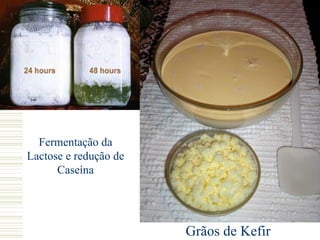 Fermentação da
Lactose e redução de
      Caseína




                       Grãos de Kefir
 