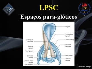 Leonardo Rangel
LPSC  
Espaços para-glóticos
 
