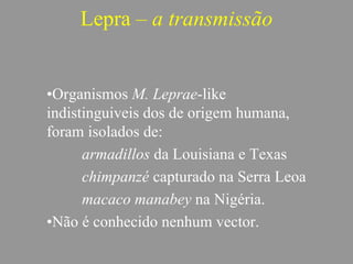 Lepra – a transmissão
•Organismos M. Leprae-like
indistinguiveis dos de origem humana,
foram isolados de:
armadillos da Louisiana e Texas
chimpanzé capturado na Serra Leoa
macaco manabey na Nigéria.
•Não é conhecido nenhum vector.
 