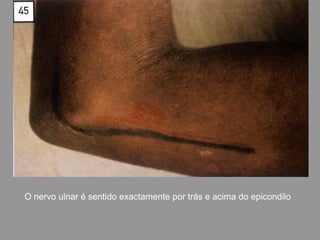 O nervo ulnar é sentido exactamente por trás e acima do epicondilo
 
