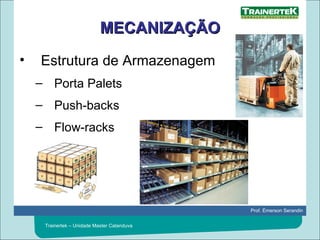 MECANIZAÇÃO Estrutura de Armazenagem Porta Palets Push-backs Flow-racks 