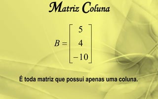 Matriz Coluna
10
4
5
B
É toda matriz que possui apenas uma coluna.
 