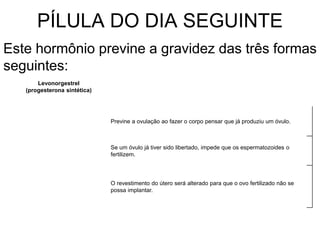 PÍLULA DO DIA SEGUINTE
Levonorgestrel
(progesterona sintética)
Previne a ovulação ao fazer o corpo pensar que já produziu um óvulo.
Se um óvulo já tiver sido libertado, impede que os espermatozoides o
fertilizem.
O revestimento do útero será alterado para que o ovo fertilizado não se
possa implantar.
Este hormônio previne a gravidez das três formas
seguintes:
 