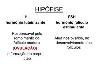 HIPÓFISE
LH
hormônio luteinizante
Responsável pelo
rompimento do
folículo maduro
(OVULAÇÃO)
e formação do corpo
lúteo
FSH
hormônio folículo
estimulante
Atua nos ovários, no
desenvolvimento dos
folículos
 