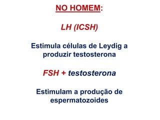 NO HOMEM:
LH (ICSH)
Estimula células de Leydig a
produzir testosterona
FSH + testosterona
Estimulam a produção de
espermatozoides
 