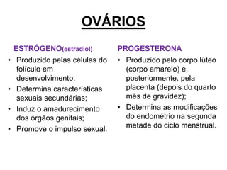 OVÁRIOS
ESTRÓGENO(estradiol)
• Produzido pelas células do
folículo em
desenvolvimento;
• Determina características
sexuais secundárias;
• Induz o amadurecimento
dos órgãos genitais;
• Promove o impulso sexual.
PROGESTERONA
• Produzido pelo corpo lúteo
(corpo amarelo) e,
posteriormente, pela
placenta (depois do quarto
mês de gravidez);
• Determina as modificações
do endométrio na segunda
metade do ciclo menstrual.
 