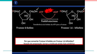 Conversão da frutose 1-fosfato a frutose 1-6-bifosfato
3
1
ATP
Transferência do fosfato do ATP para a frutose
Por que converter frutose 6-fosfato em frutose 1,6-bifosfato?
Reação de preparação: tornar a molécula ainda mais simétrica
 