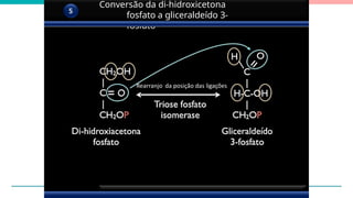 Conversão da di-hidroxicetona
fosfato a gliceraldeído 3-
fosfato
5
Rearranjo da posição das ligações
Rearranjo da posição das ligações
 