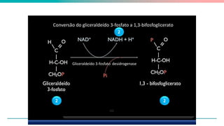 6
Gliceraldeído 3-fosfato desidrogenase
2 2
2
Conversão do gliceraldeído 3-fosfato a 1,3-bifosfoglicerato
 