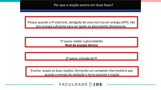 Por que a reação ocorre em duas fases?
Porque quando o Pi está livre, desligado de uma mol rica em energia (ATP), não
tem energia suficiente para ser ligado ao gliceradeído diretamente.
1º passo: oxidar o gliceraldeído
Nível de energia diminui
Enzima: acopla as duas reações, formando um composto intermediário que
guarda a energia de oxidação e torna possível a reação
2º passo: entrada do Pi
 
