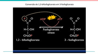 Conversão do 1,3-bifosfoglicerato em 3-fosfoglicerato
7
2
ATP
 