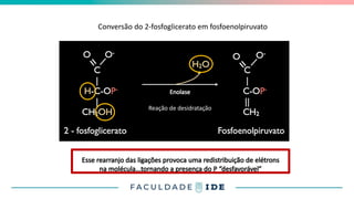 Conversão do 2-fosfoglicerato em fosfoenolpiruvato
9
Esse rearranjo das ligações provoca uma redistribuição de elétrons
na molécula...tornando a presença do P “desfavorável”
Enolase
Reação de desidratação
 
