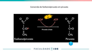 Conversão do fosfoenolpiruvato em piruvato
10
2
ATP
2
Piruvato cinase
 
