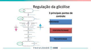 Regulação da glicólise
3 principais pontos de
controle:
HEXOCINASE
FOSFOFRUTOCINASE
PIRUVATOCINASE
FOSFOFRUTOCINASE
 