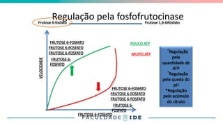 Regulação pela fosfofrutocinase
Frutose 6-fosfato Frutose 1,6-bifosfato
VELOCIDADE
FRUTOSE 6-FOSFATO
POUCO ATP
MUITO ATP
FRUTOSE 6-FOSFATO
FRUTOSE 6-FOSFATO
FRUTOSE 6-FOSFATO
FRUTOSE 6-
FOSFATO
FRUTOSE 6-FOSFATO
FRUTOSE 6-FOSFATO
FRUTOSE 6-FOSFATO
FRUTOSE 6-
FOSFATO
*Regulação
pela
quantidade de
ATP
*Regulação
pela queda do
pH
*Regulação
pelo acúmulo
do citrato
 