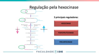 Regulação pela hexocinase
HEXOCINASE
FOSFOFRUTOCINASE
PIRUVATOCINASE
FOSFOFRUTOCINASE
3 principais reguladoras:
HEXOCINASE
 