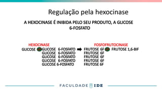 Regulação pela hexocinase
A HEXOCINASE É INIBIDA PELO SEU PRODUTO, A GLICOSE
6-FOSFATO
GLICOSE GLICOSE 6-FOSFATO
GLICOSE 6-FOSFATO
GLICOSE 6-FOSFATO
GLICOSE 6-FOSFATO
GLICOSE 6-FOSFATO
FRUTOSE 1,6-BIF
FRUTOSE 6F
FRUTOSE 6F
FRUTOSE 6F
FRUTOSE 6F
FRUTOSE 6F
HEXOCINASE FOSFOFRUTOCINASE
 