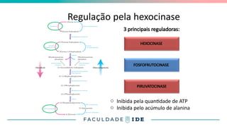 Regulação pela hexocinase
HEXOCINASE
FOSFOFRUTOCINASE
PIRUVATOCINASE
3 principais reguladoras:
HEXOCINASE
PIRUVATOCINASE
o Inibida pela quantidade de ATP
o Inibida pelo acúmulo de alanina
 