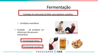 Fermentação
o Condições anaeróbicas
o Condição de aerobiose em
células que não possuem
mitocôndrias
Estratégia de restauração do NAD+ para abastecer a glicólise
Fermentação láctica
Fermentação alcoólica
 