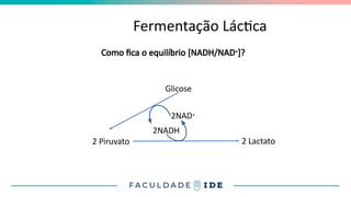 Fermentação Láctica
2 Piruvato 2 Lactato
Como fica o equilíbrio [NADH/NAD+]?
Glicose
2NAD+
2NADH
 
