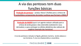 A via das pentoses tem duas
funções básicas
A via das pentoses é ativada no fígado, glândula mamária, tecido adiposo e
nas hemácias. É uma via citoplasmática e anaeróbica.
Produção de pentoses – produz ribose 5-fosfato para a síntese de
nucleotídeos componentes do ácidos nucléicos que formam o DNA);
Produção de NADPH que é um agente redutor utilizado para a
síntese de ácido graxos e dos esteroides (colesterol e seus
derivados), e para contrapor os efeitos deletérios dos radicais de
oxigênio (exemplo das hemácias)
 