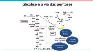 Glicólise e a via das pentoses
fosfato
Ribose-5-
fosfato
Frutose-
6-fosfato
Gliceraldeido-
3-fosfato
 