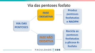 Via das pentoses fosfato
 