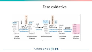 Fase oxidativa
 