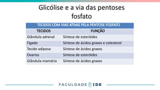 Glicólise e a via das pentoses
fosfato
TECIDOS COM VIAS ATIVAS PELA PENTOSE FOSFATO
TECIDOS FUNÇÃO
Glândula adrenal Síntese de esteróides
Fígado Síntese de ácidos graxos e colesterol
Tecido adiposo Síntese de ácidos graxos
Ovarios Síntese de esteróides
Glândula mamária Síntese de ácidos graxos
 