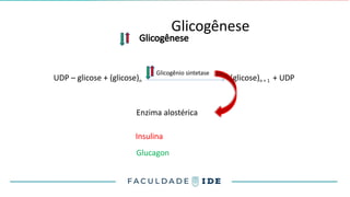 Glicogênese
Glicogênese
UDP – glicose + (glicose)n (glicose)n + 1 + UDP
Glicogênio sintetase
Enzima alostérica
Insulina
Glucagon
 