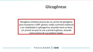 Glicogênese
Glicogênio sintetase precisa de um primer de glicogênio
para incorporar a UDP- glicose, então a primeira molécula
a ser sintetizada é a glicogenina, atuando como se fosse
um primer ao qual se une a primeira glicose, atuando
como enzima de sua própria reação.
 