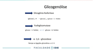 Glicogenólise
Glicogênio-fosforilase
(glicose) n+ Pi (glicose) n-1+ glicose – 1 – fosfato
Fosfoglicomutase
glicose – 1- fosfato glicose – 6- fosfato
α- 1,6 – glicosidase
Rompe as ligações glicosídicas α 1- 6
 