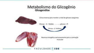 Metabolismo do Glicogênio
Glicogenólise
Reserva energética exclusivamente para a contração
muscular
Única reserva para manter o nível de glicose sanguinea.
Glicose – 6 – fosfato glicose + Pi
Glicose – 6- fosfatase
 