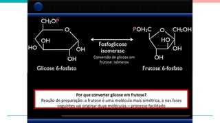 2 Conversão da glicose-6-fosfato em frutose-6-fosfato
Por que converter glicose em frutose?
Reação de preparação: a frutose é uma molécula mais simétrica, a nas fases
seguintes vai originar duas moléculas – processo facilitado
Conversão de glicose em
frutose: isômeros
 