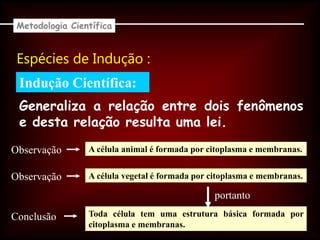Indução Científica:
Espécies de Indução :
Metodologia Científica
Generaliza a relação entre dois fenômenos
e desta relação resulta uma lei.
A célula animal é formada por citoplasma e membranas.
Toda célula tem uma estrutura básica formada por
citoplasma e membranas.
portanto
Observação
Observação
A célula vegetal é formada por citoplasma e membranas.
Conclusão
 